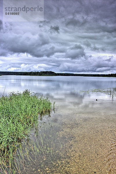 Baluso-See  Aukstaitijos Nationalpark  Litauen  Europa