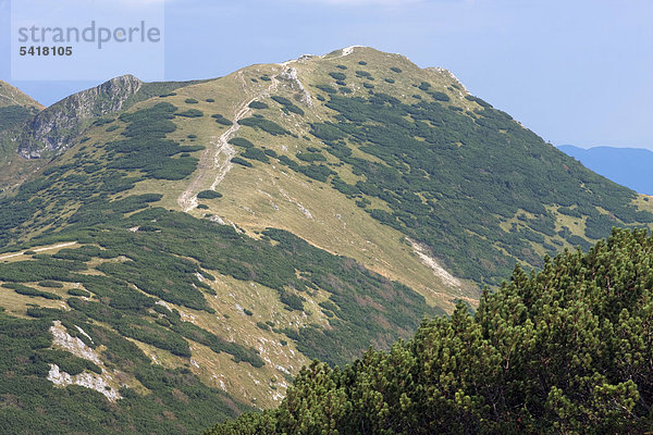 Chleb-Berg  Naturschutzgebiet Chleb  Nationalpark Kleine Fatra  Slowakei  Europa