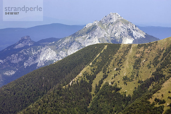 Der Berg Velky Rozsutec  Nationalpark Kleine Fatra  Slowakei  Europa