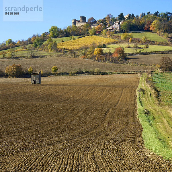 Ein Feld im Herbst  Landschaft in Limagne  Auvergne  Frankreich  Europa
