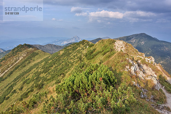 Pripor Naturschutzgebiet  Nationalpark Kleine Fatra  Slowakei  Europa