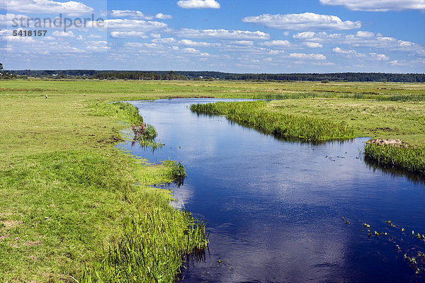 Der Fluss Biebrza bei Jaglowo  Nationalpark Biebrza-Flusstal  Polen  Europa