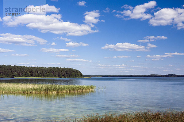 Zatoka Slupianska-Bucht am See Wigry  Wigierski-Nationalpark  Polen  Europa