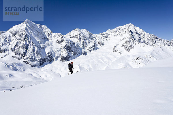 Skitourengeher beim Aufstieg zur Hinteren Schöntaufspitze  Sulden im Winter  hinten die Königsspitze  der Ortler und Zebru  Südtirol  Italien  Europa