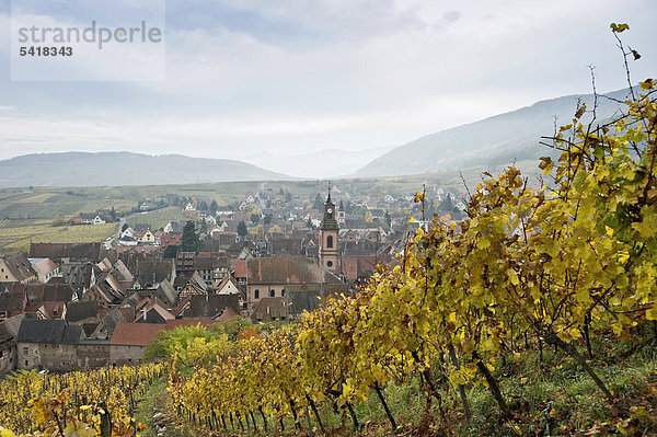 Riquewihr  nördlich von Colmar  Elsass  Frankreich  Europa