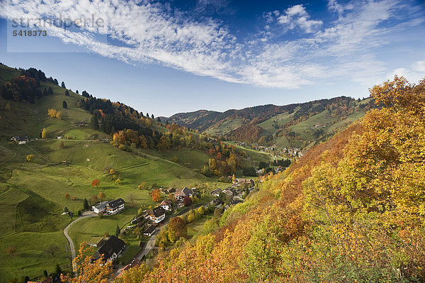 Münstertal im Herbst  Südschwarzwald  Schwarzwald  Baden-Württemberg  Deutschland  Europa