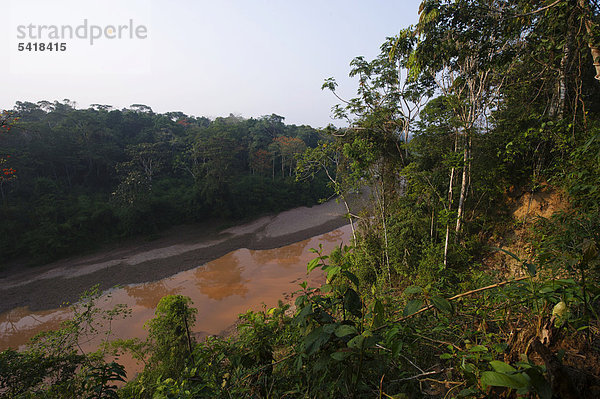 Altwasser des Rio Tambopata  Tambopata  Amazonasbecken  Peru  Südamerika