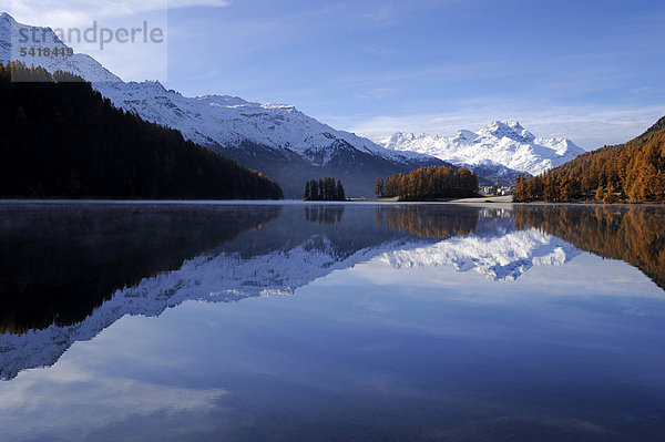 Champferersee mit herbstlich verfärbtem Lärchenwald  hinten Piz da la Margna  St. Moritz  Engadin  Graubünden  Schweiz  Europa