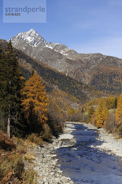 Fluss Inn im Schweizer Nationalpark bei Zernez  Engadin  Graubünden  Schweiz  Europa