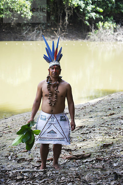 Guillermo Rodriguez Gomez  Schamane des Bora-Stammes mit Arafedern im Kopfschmuck  der für schamanische Zeremonien getragen wird  nördliches Amazonbecken  Peru  Südamerika