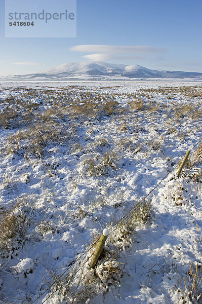 Blick über den zugefrorenen Solway Firth am Caerlaverock Naturreservat in der Nähe von Dumfries  Solway Firth  Schottland  Großbritannien  Europa