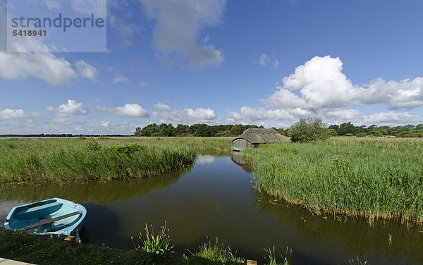 Hickling Broad Naturschutzgebiet  Norfolk  England  Großbritannien  Europa