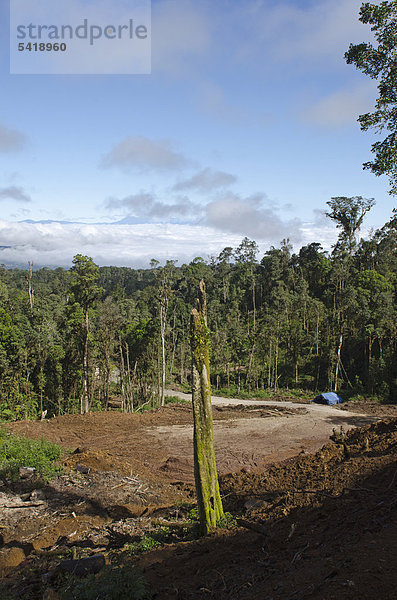 Rodung des Regenwalds  Abholzung in der Nähe von Tari  Papua-Neuguinea  Ozeanien