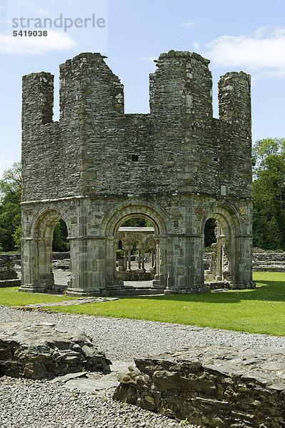 Reste des Kreuzganges und Lavabo  Mellifont Abbey  Zisterzienser-Abtei  County Louth  Republik Irland  Europa
