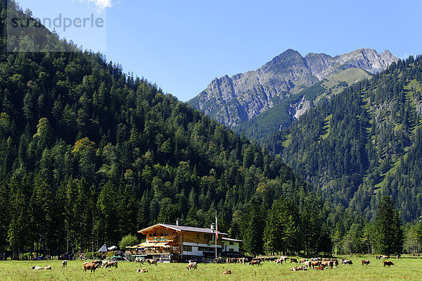 nahe Europa Tal See Karwendelgebirge Österreich Pertisau Tirol