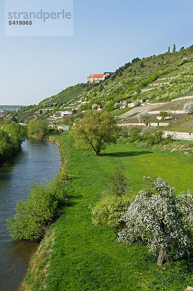 Fryburg an der Unstrut  mit der Neuenburg  Weinanbaugebiet an der Saale-Unstrut  Naturpark Saale Unstrut Triasland  Sachsen-Anhalt  Deutschland  Europa