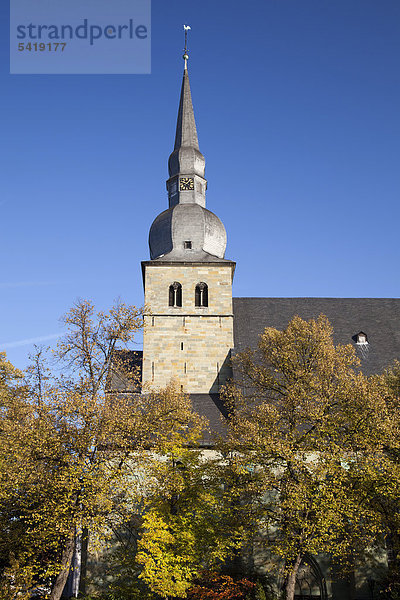 Probsteikirche St. Walburga  gotische Hallenkirche  Wallfahrtsort Werl  Kreis Soest  Nordrhein-Westfalen  Deutschland  Europa  ÖffentlicherGrund