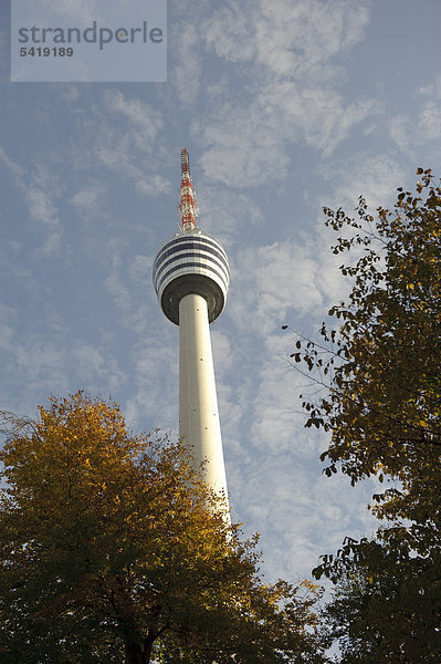 Der Stuttgarter Fernsehturm im Herbst  Stuttgart  Baden-Württemberg  Deutschland  Europa