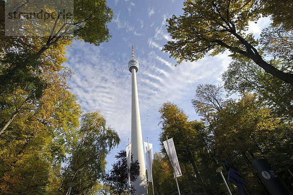 Der Stuttgarter Fernsehturm im Herbst  Stuttgart  Baden-Württemberg  Deutschland  Europa