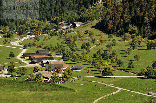 Blick auf die Ortschaft Hinterriß und den Großen Ahornboden mit zahlreichen Bergahorn-Bäumen (Acer pseudoplatanus)  Karwendel-Gebrige  bei Vomp  Tirol  Österreich  Europa