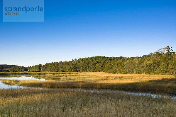 Seenlandschaft in Wiscasset im Bundesstaat Maine  New England  USA