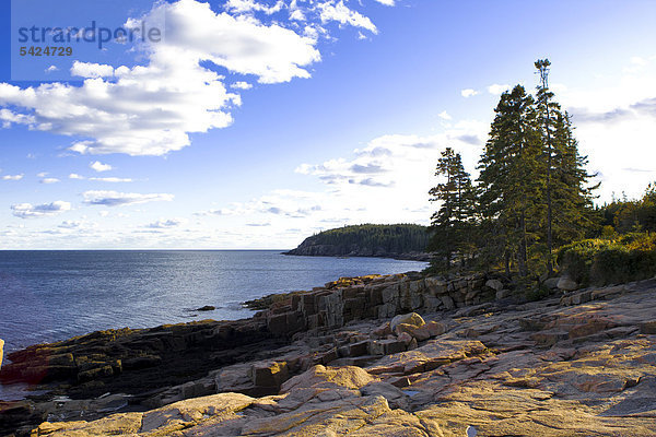 Küstenlandschaft im Acadia Nationalpark im Bundesstaat Maine  New England  USA