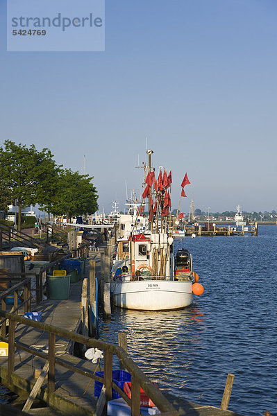 Fischereihafen Fischerhafen Europa Ostsee Baltisches Meer Deutschland Heiligenhafen Schleswig-Holstein