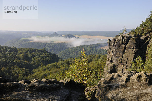 Blick in das Elbtal  hinten Kaiserkrone und Zirkelstein  Elbsandsteingebirge  Sachsen  Deutschland  Europa