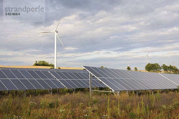 Windturbine Windrad Windräder Europa Energie energiegeladen Pflanze Sonnenenergie Deutschland Sachsen