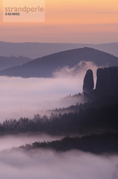 Nebel im Elbsandsteingebirge  Blick auf den Bloßstock  Sachsen  Deutschland  Europa