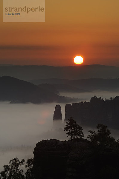 Nebel im Elbsandsteingebirge  Sonnenaufgang über dem Bloßstock  Sachsen  Deutschland  Europa