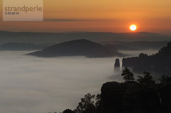 Nebel im Elbsandsteingebirge  Sonnenaufgang über dem Bloßstock  Sachsen  Deutschland  Europa