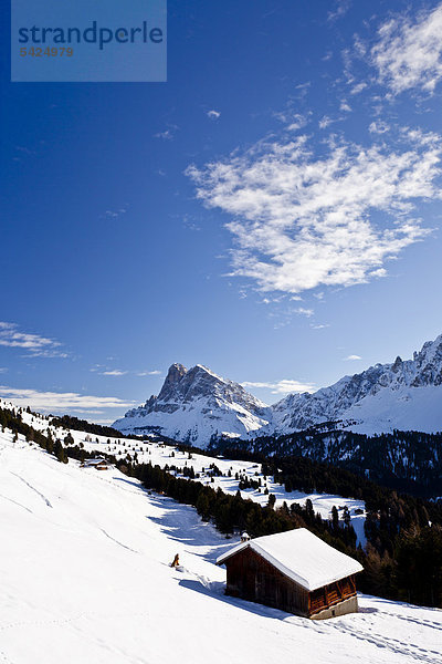 Ausblick beim Aufstieg zum Gabler  Plose  hinten der Peitlerkofel  Dolomiten  Südtirol  Italien  Europa