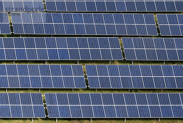 Luftaufnahme  Solarpark  Freiflächen-Photovoltaikanlage  Ausschnitt der Solarmodule  bei Sprakebüll  Kreis Nordfriesland  Schleswig-Holstein  Deutschland  Europa