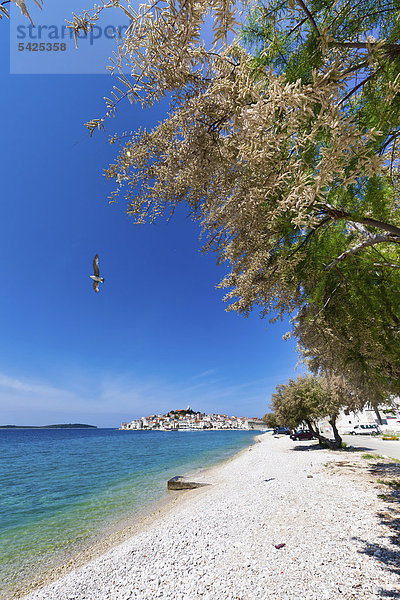Europa Strand Kroatien Dalmatien