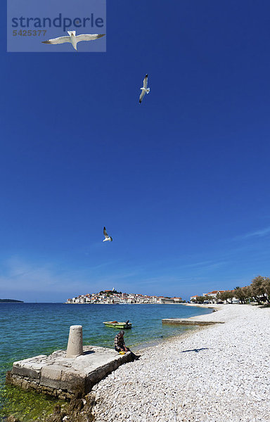 Europa Strand Kroatien Dalmatien Halbinsel Primosten