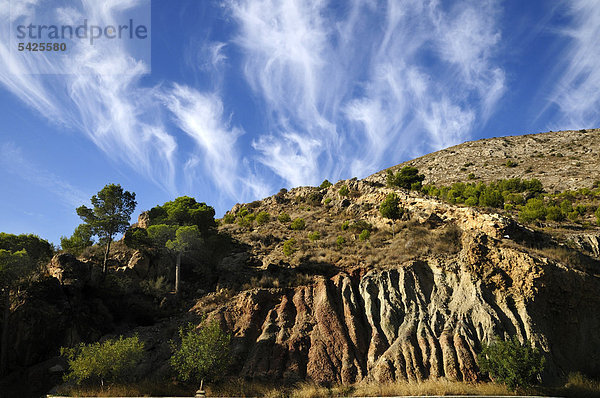 Küste  Costa Blanca  Spanien  Europa