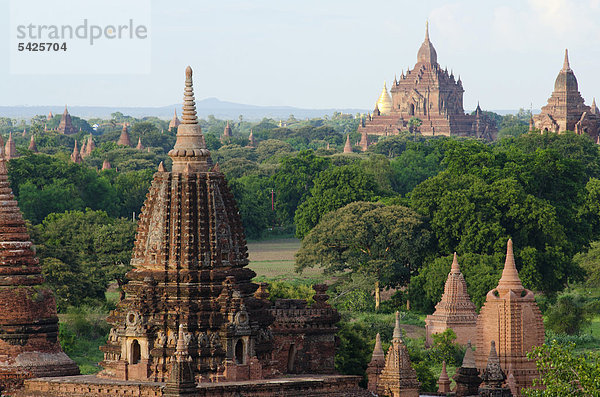 Pagodenfeld  Tempel  Zedi  Old Bagan  Pagan  Burma  Birma  Myanmar  Südostasien  Asien