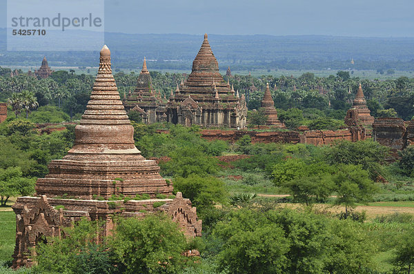 Pagodenfeld  buddhistische Tempel  Zedi  Old Bagan  Pagan  Burma  Birma  Myanmar  Südostasien  Asien