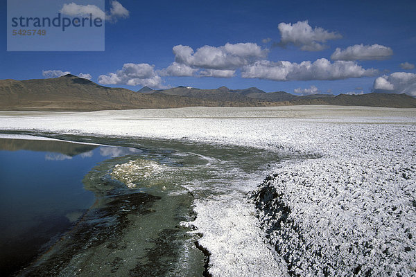 Ufer des Tso Khar  hochgelegener Salzsee  Ladakh  indischer Himalaya  Jammu und Kaschmir  Nordindien  Indien  Asien