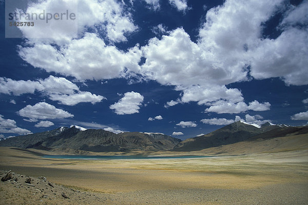 Hochebene  nahe Salzsee Tso Khar  Changthang  Ladakh  indischer Himalaya  Jammu und Kaschmir  Nordindien  Indien  Asien