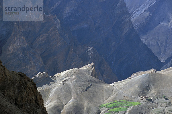Einsames Gehöft mit Feld  bei Lingshed  Zanskar  Ladakh  indischer Himalaya  Jammu und Kaschmir  Nordindien  Indien  Asien