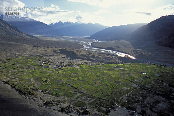 Zanskar-Tal  Felder von Tongde  Zanskar  Ladakh  indischer Himalaya  Jammu und Kaschmir  Nordindien  Indien  Asien