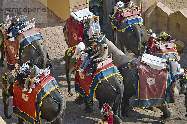 Touristen auf Elefanten  Festung von Amber oder Amber Fort  Jaipur  Rajasthan  Indien  Asien