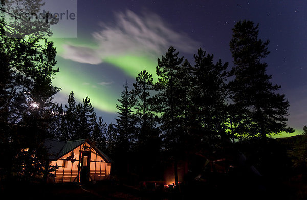 Hell erleuchtetes Zelt  Hütte mit waberndem Nordlicht  nördliches Polarlicht  Aurora Borealis  grün  in der Nähe von Whitehorse  Yukon Territorium  Kanada