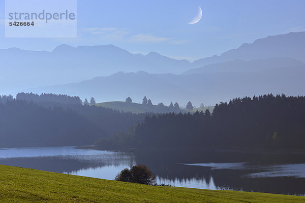 Forggensee bei Füssen  Tannheimer Berge  Ostallgäu  Bayern  Deutschland  Europa  Composing