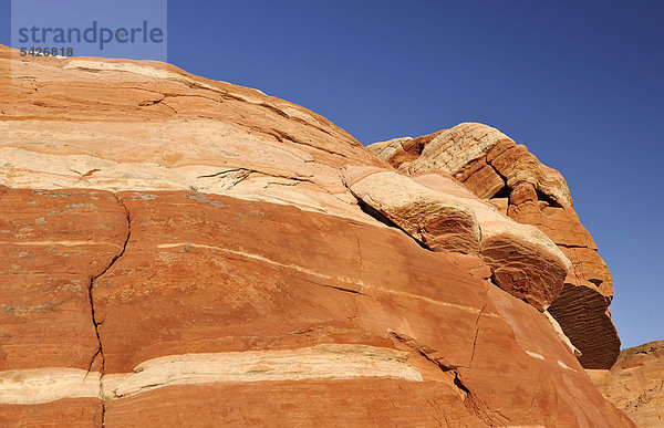 Felsformation The Sheep  Welle aus gebänderten erodierten Aztec-Sandsteinfelsen  Valley of Fire State Park  Nevada  Vereinigte Staaten von Amerika  USA