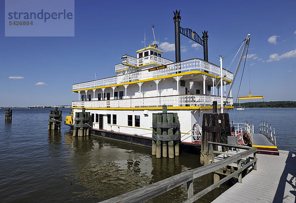 Raddampfer Cherry Blossom  Alexandria National Harbor  Hafen  Waterfront  Uferpromende  Old Town of Alexandria  Virginia  Vereinigte Staaten von Amerika  USA  ÖffentlicherGrund