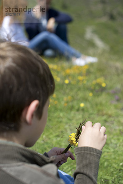 Junge spielt mit Wildblumen  Rückansicht