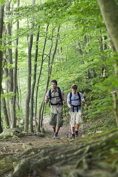 Junge Männer beim gemeinsamen Wandern im Wald